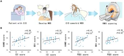 Cerebellum and hippocampus abnormalities in patients with insomnia comorbid depression: a study on cerebral blood perfusion and functional connectivity
